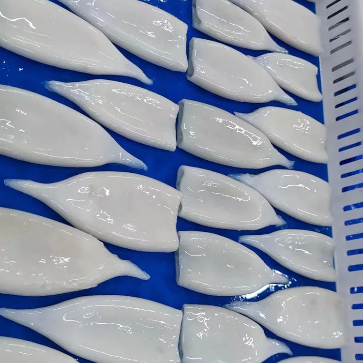 Hot Sale Fresh Frozen Squid from China at Competitive Price Nutritious Squid with CE EU Certificate Squid for USA Bag Block
