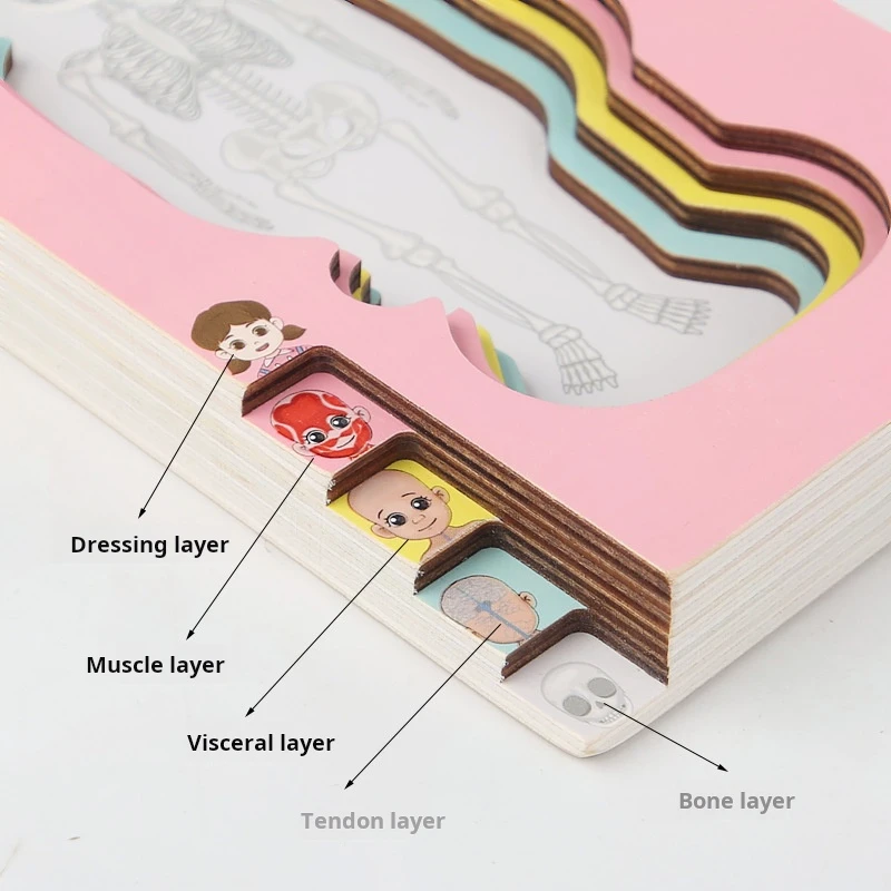 Kids Wooden Human Body Puzzle Early educational Toys for Kids