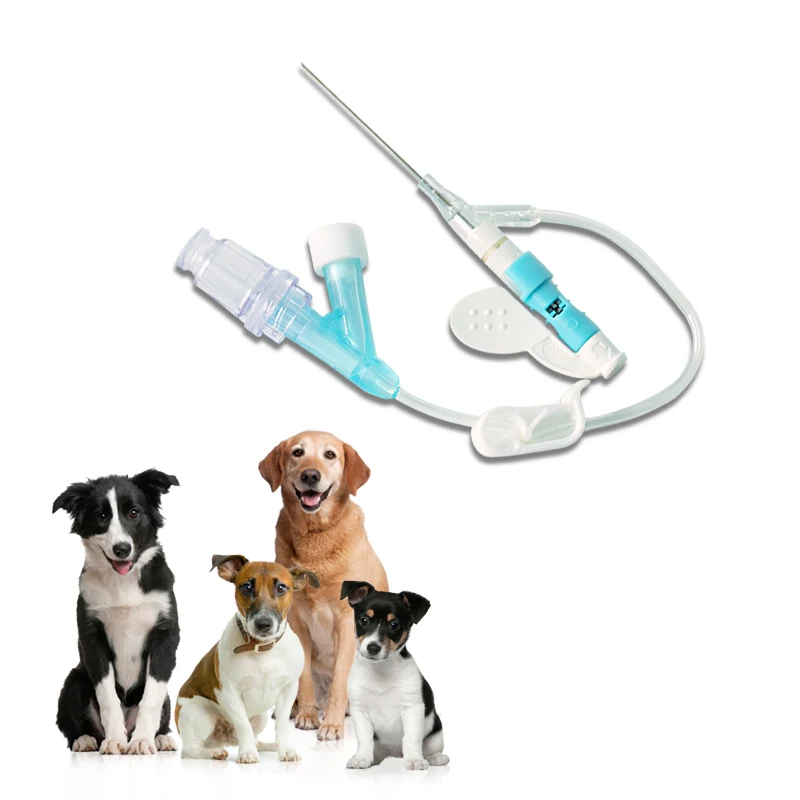 Medical Factory Disposable Surgical PVC Intravenous Infusion Set with Needle Veterinary Syringe Gun and Veterinary IV Cannula