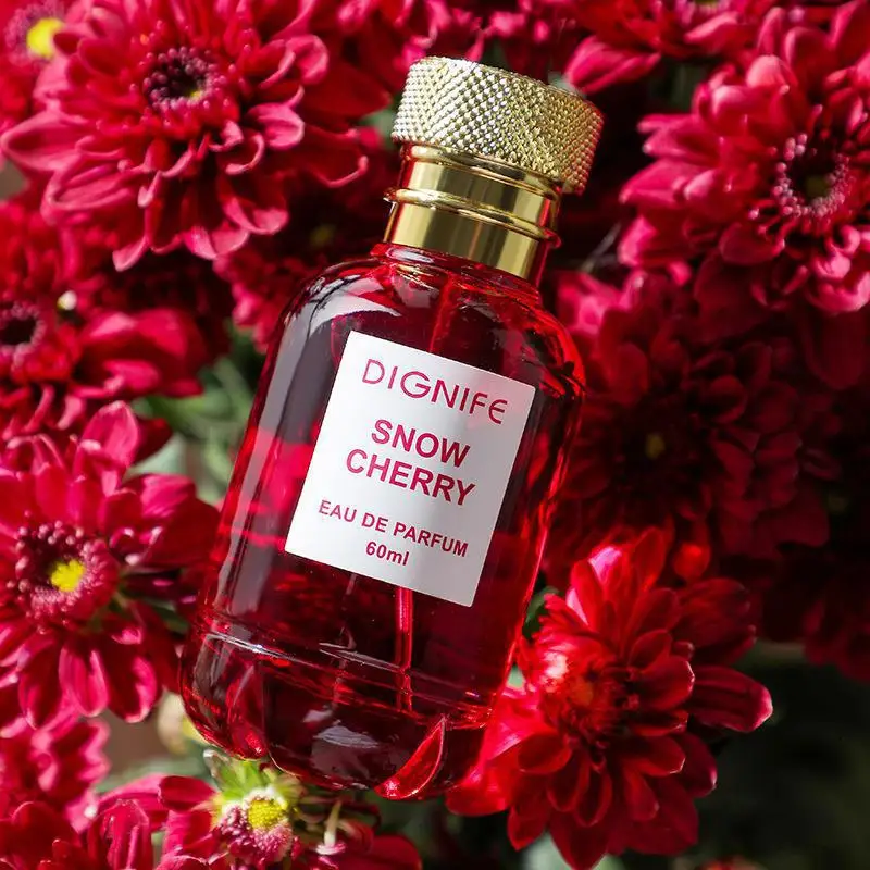 OEM Wholesale High Quality Luxury Eau De Parfum for Women Sexy Perfume Fragrance Oil Luxury Brand
