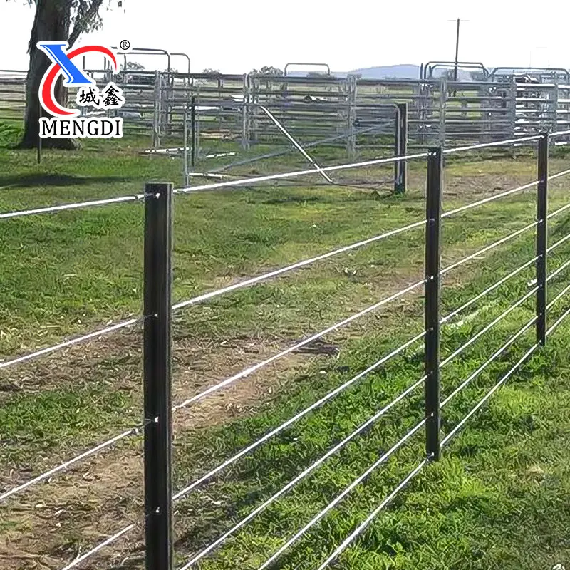 Australia Standard Heavy-Duty Steel Y Picket Fence Black Painted and Hot Dip Galvanized for Security Gates