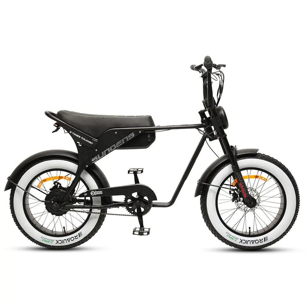 TXED electric motorcycle adults hybrid electric bike 250w motor 20 inch inner 3speed electric bicycle