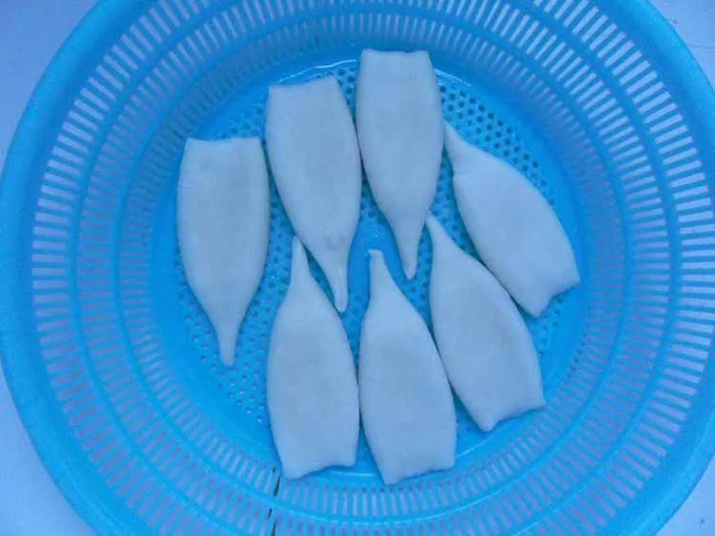 Factory direct frozen squid whole with the best price