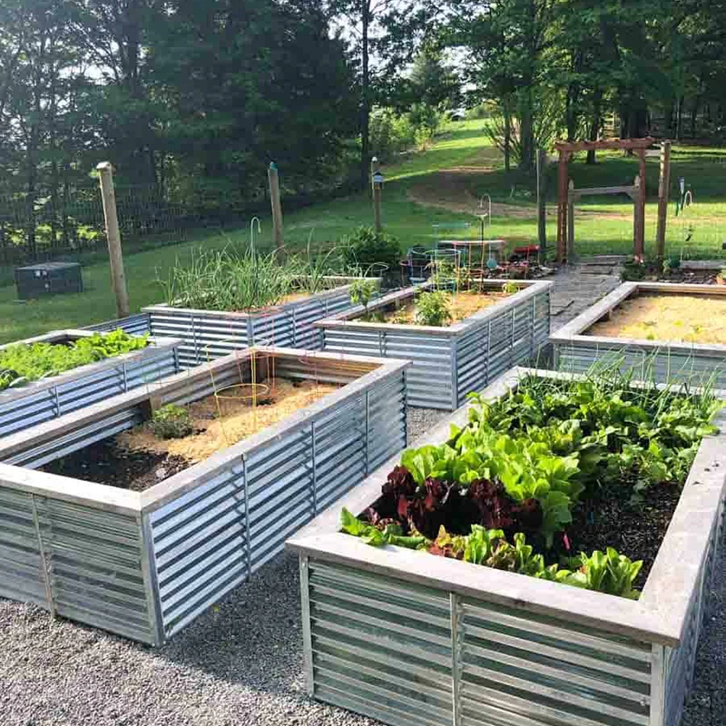 Outdoor Galvanized Raised Garden Bed Metal Planter Raised Garden Boxes For Vegetables Flowers