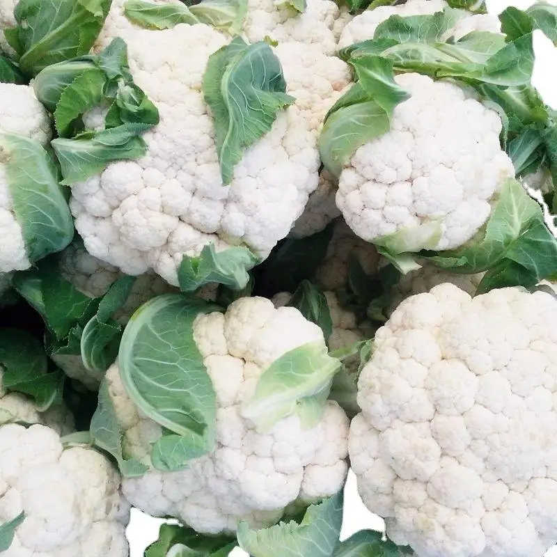 Экспорт китайской кауфлёры, высокое качество, рыночная цена, кауфлёр, Натуральный Свежий кауфлёр