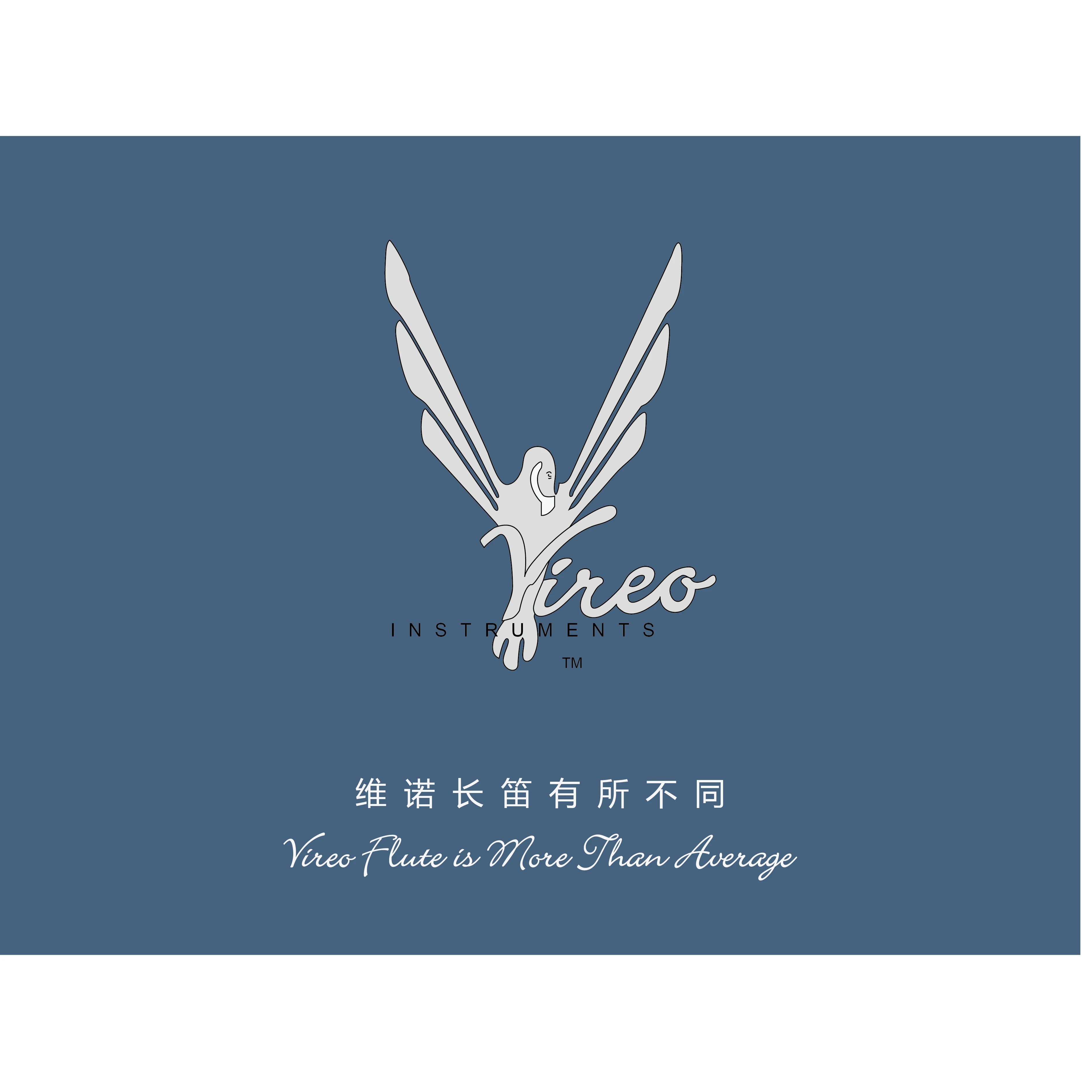 VIREO 2284NT флейта деревообрабатывающий инструмент музыкальный инструмент Студенческая флейта Серебряная флейта