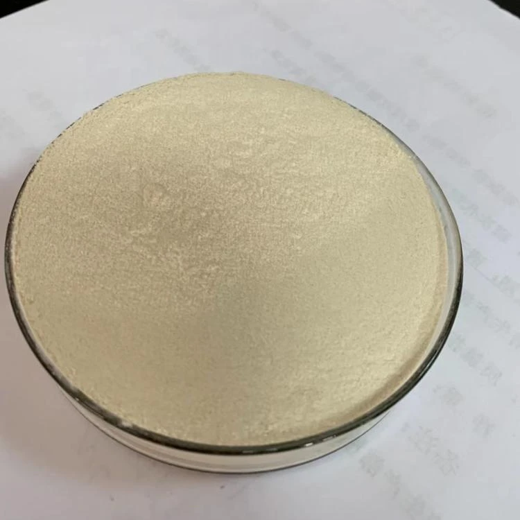 Best-selling food ingredients vital wheat gluten for bread and noodles