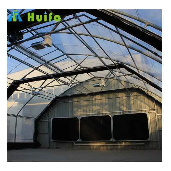 New Design Commercial used Blackout Greenhouse Equipment for sale
