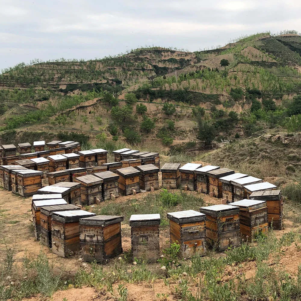 Rape Flower Honey OEM 100% Pure Honey Bee Products Factory