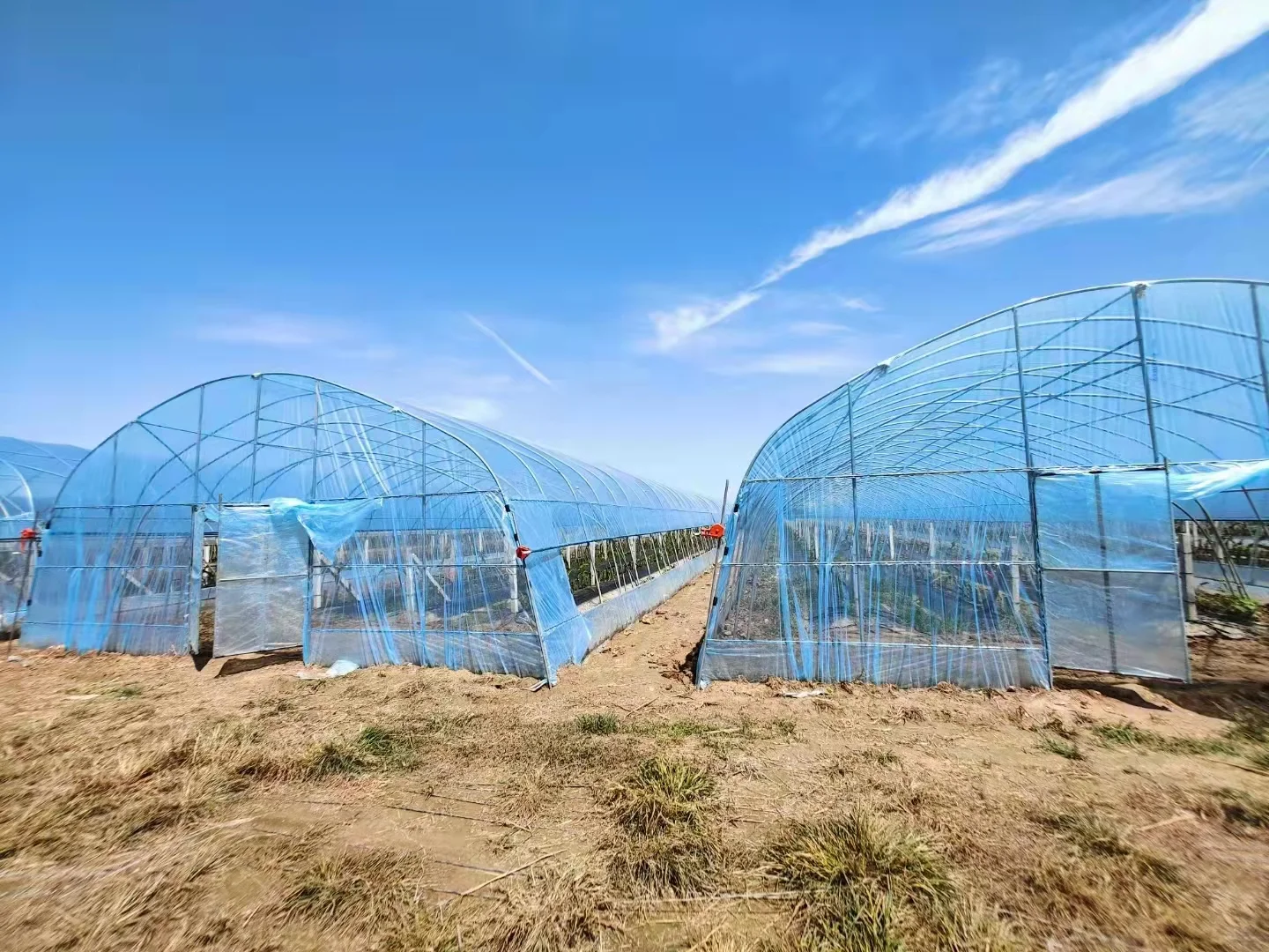 200mic UV resistant agricultural plastic products Sheeting plastics agriculture greenhouse products tunnel greenhouse for sale