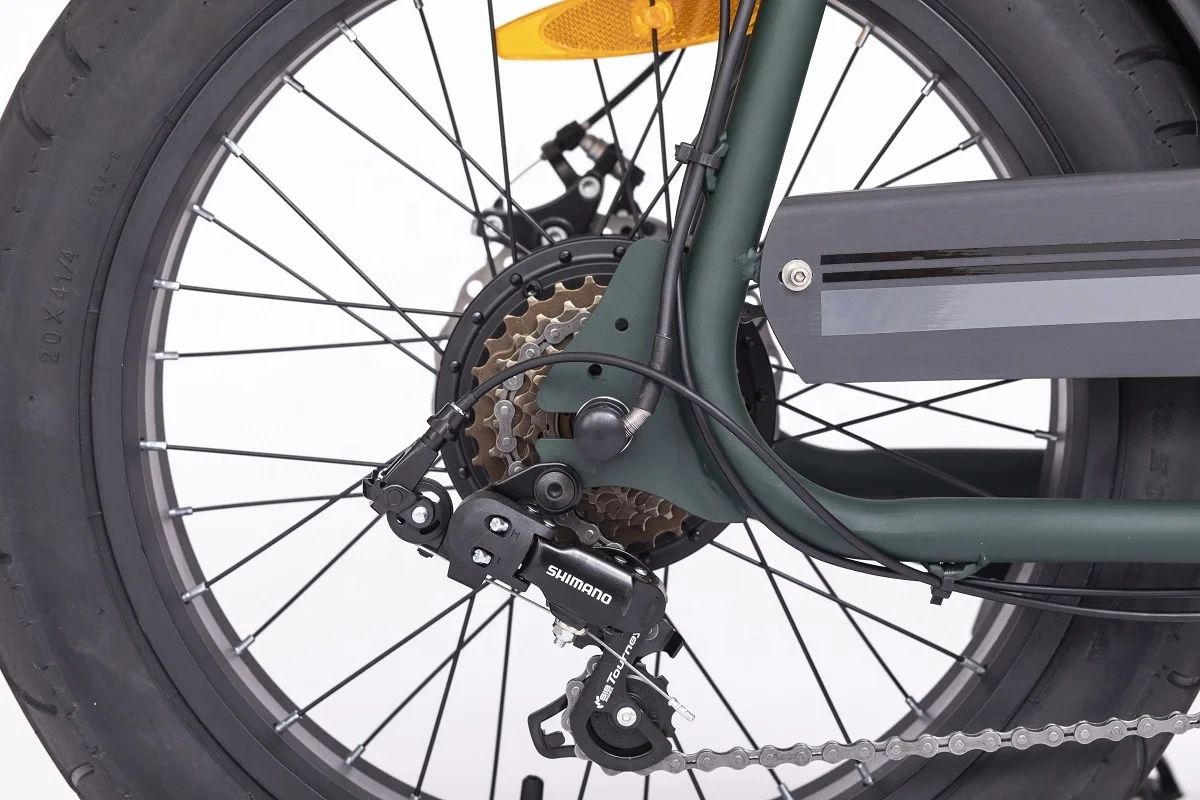 20 Inch Fat Tire 250W 350W 500W 750W 1000W Fast Speed Off-Road Electric Moped Bike