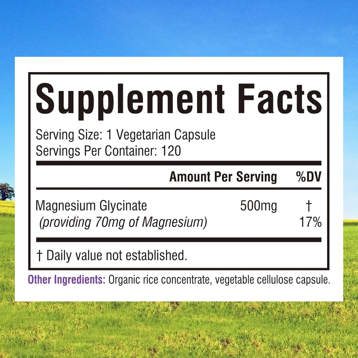 Private Label Magnesium Capsules 500mg Dietary Supplement for Muscle Heart Bone & Nerve Support Magnesium Supplements 120 Count