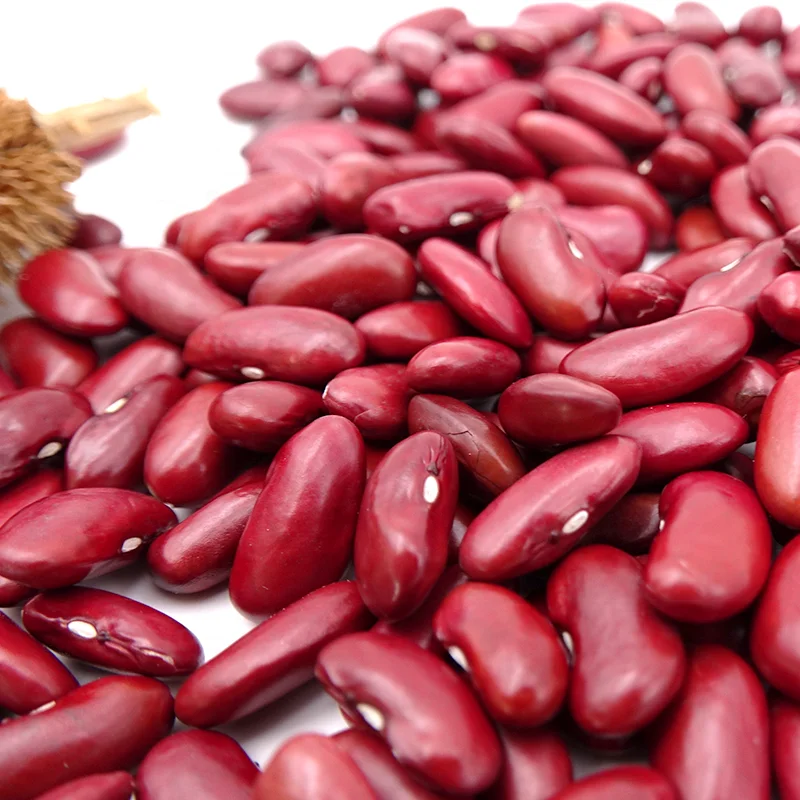 Высококачественная сушеная фасоль для продажи