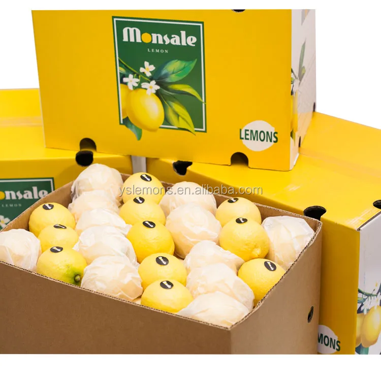 Wholesale Eureka Fresh Organic Lemon Glass Grade B High Quality Citrus Fruits