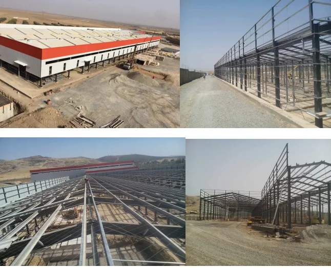 paste-pic-dp_uuid_fdm7v