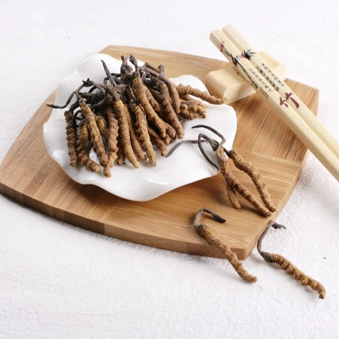 Proper Price Top Quality Powder Cordyceps Sinensis Mycelium Pure Extract Cordyceps Militaris