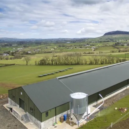 Низкая цена структура сарай для птицефермы двухэтажный стальной световой Канал ПВХ оконное здание алюминиевый цвет