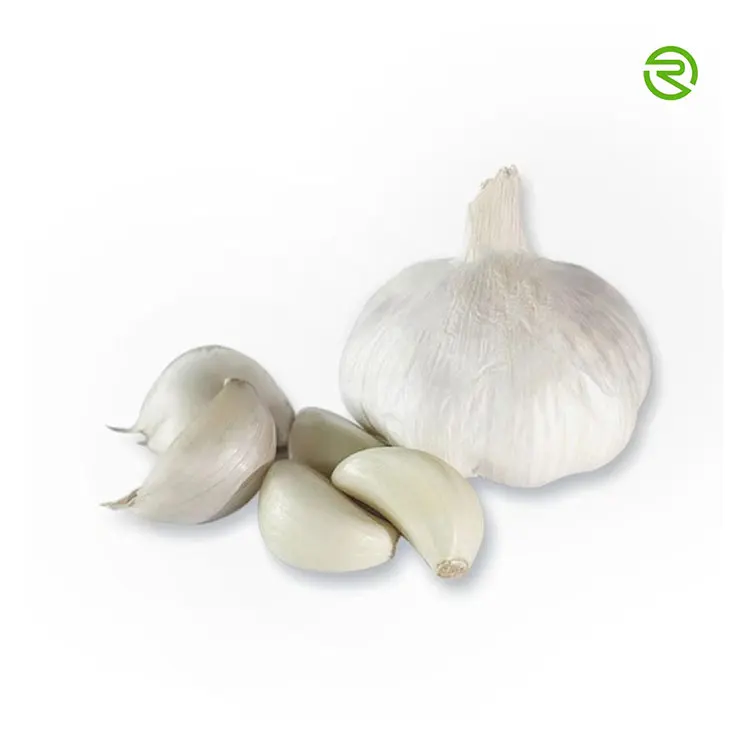 
Fresh white garlic garlic shandong multi - clove garlic high quality 