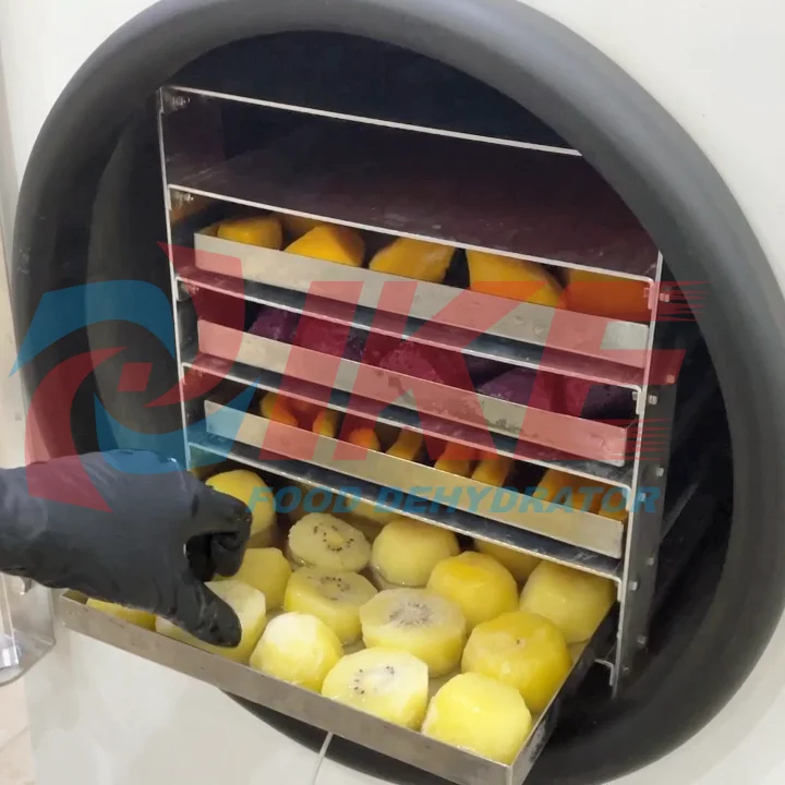 IKE Freeze dry fruit liofilization machine freeze dryer dry machine