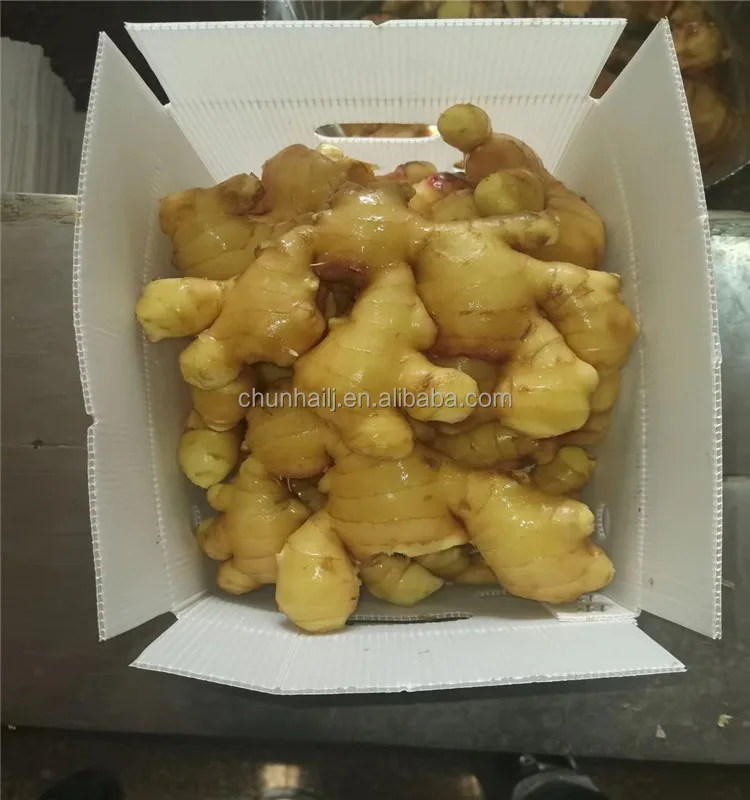 fresh ginger 1 (5).jpg