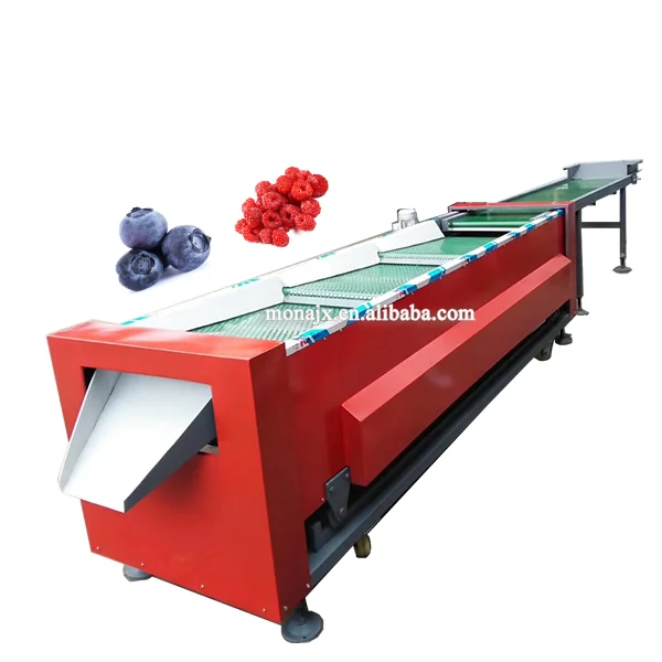 Сортировочная машина для сортировки черники, Размер 3-6 уровней