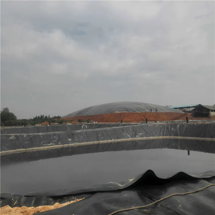 Непроницаемая подкладка геомембрана для водоемов, пластиковый геомембран для рыбной ловли, креветок, пруда, резервуар для озер, подкладка для плотины, геомембрана