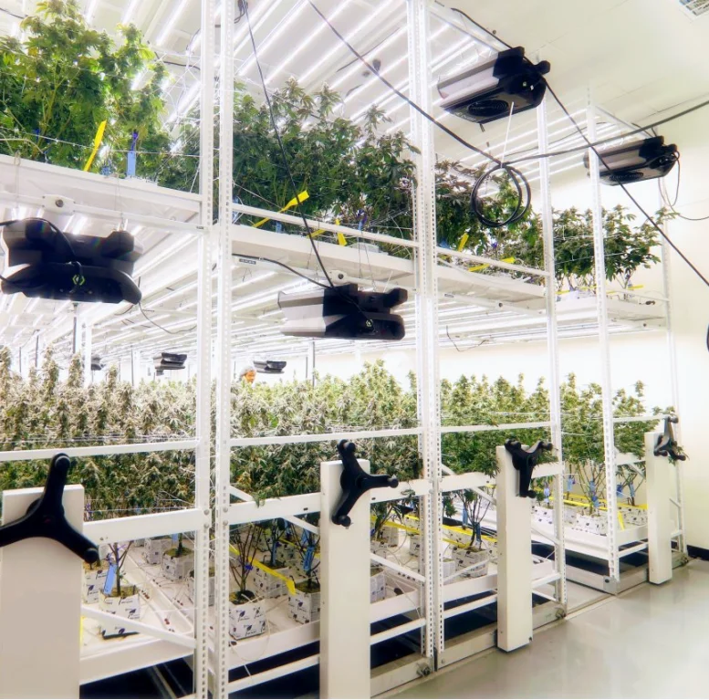 Complete Ebb Flow Table Grow Room Setup Mobile Vertical Dispensary Racks With 4x8 Grow Tray