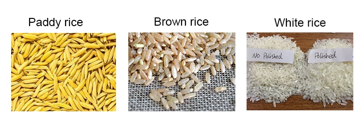 Automatic Complete 50 ton day rice mill milling plant price