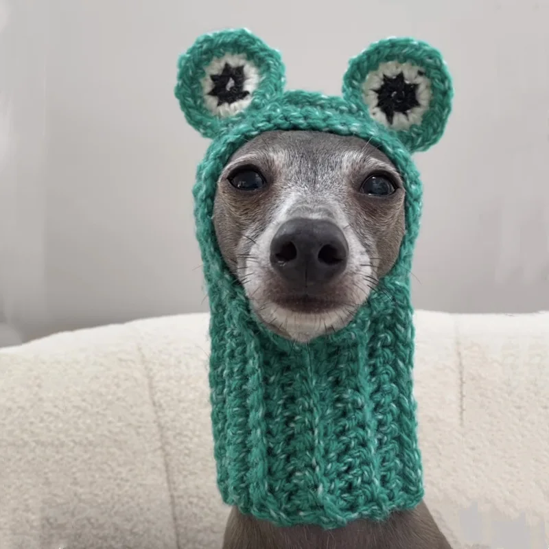 Pet cute halloween hat for dogs hat custom logo woven label handmade winter knitted beanie hat with ball bulldog pet dog pet dog