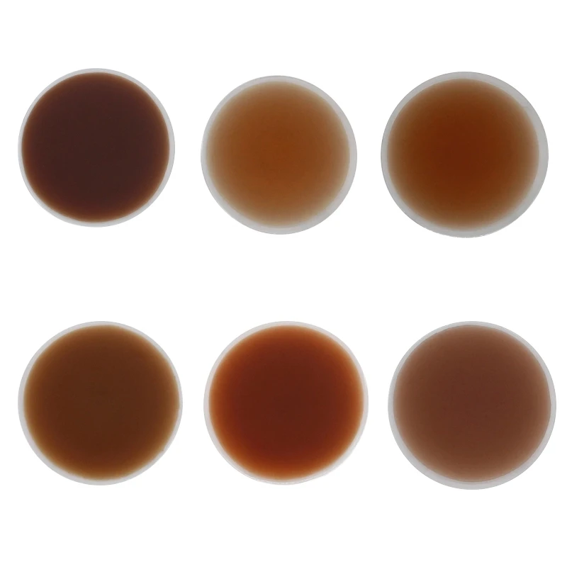 2020 New Arrival beauty girl sexy pasties nipple cover invisible silicone matte nipple cover