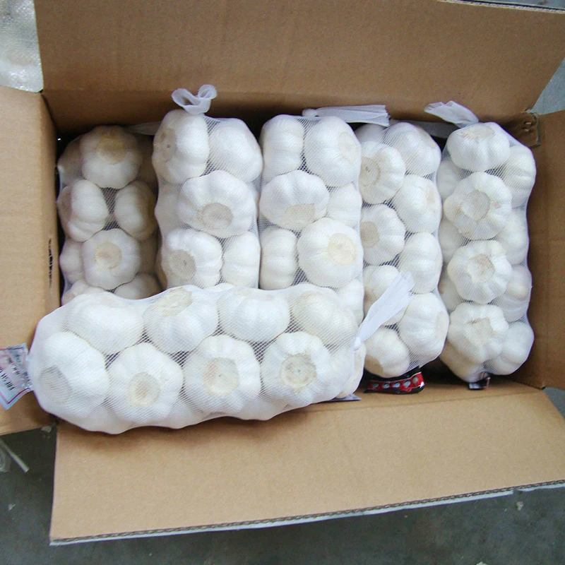 Factory price market selling wholesale garlic dried 3p mesh bag box 10kg pure white normal white fresh garlic export to india