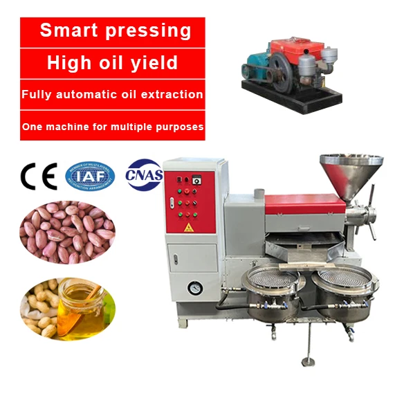 150-260kg/h Professional Palm Nut Almond Soya Bean Oil Press Machine Plant Industrial Oil Press Machine On Sale