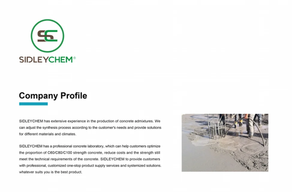 RDP Water Proof Concrete Admixture for Cement Based Tile Adhesive Mortars additives Redispersible Polymer Powder