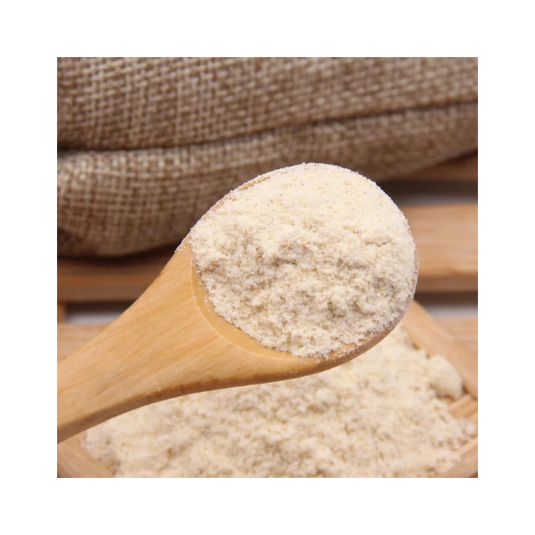 Chinese Factory Price Packing Garlic Flavour Powder Artificial Garlic Powder