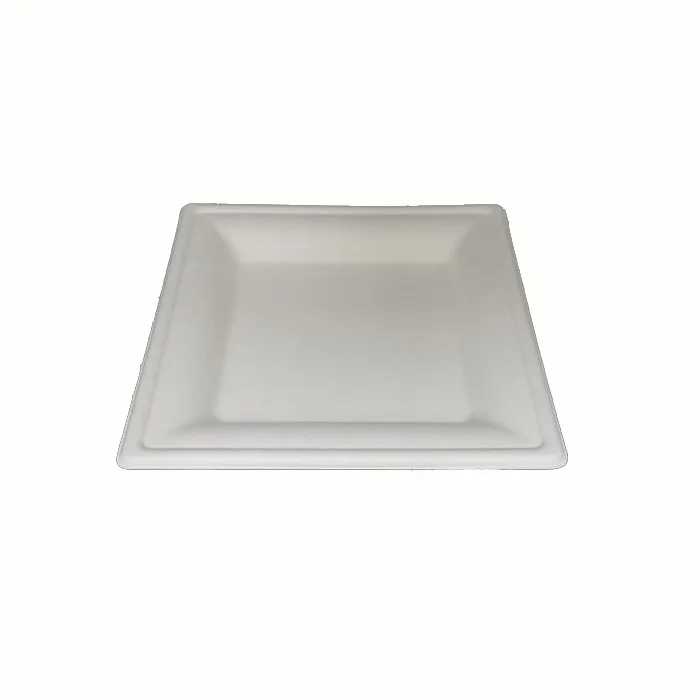 
biodegradable sugarcane fast food dishes and plates 