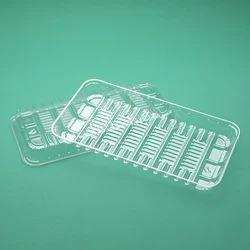 plastic disposable food boxes clear PET fruit containers take out food plastic box packaging