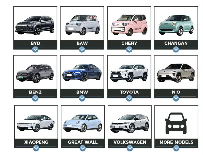 Changcheng Pao Pickup Diesel Car Petrol gasoline Vehicle Gasoline Medium Ev New Car Truck Pickup