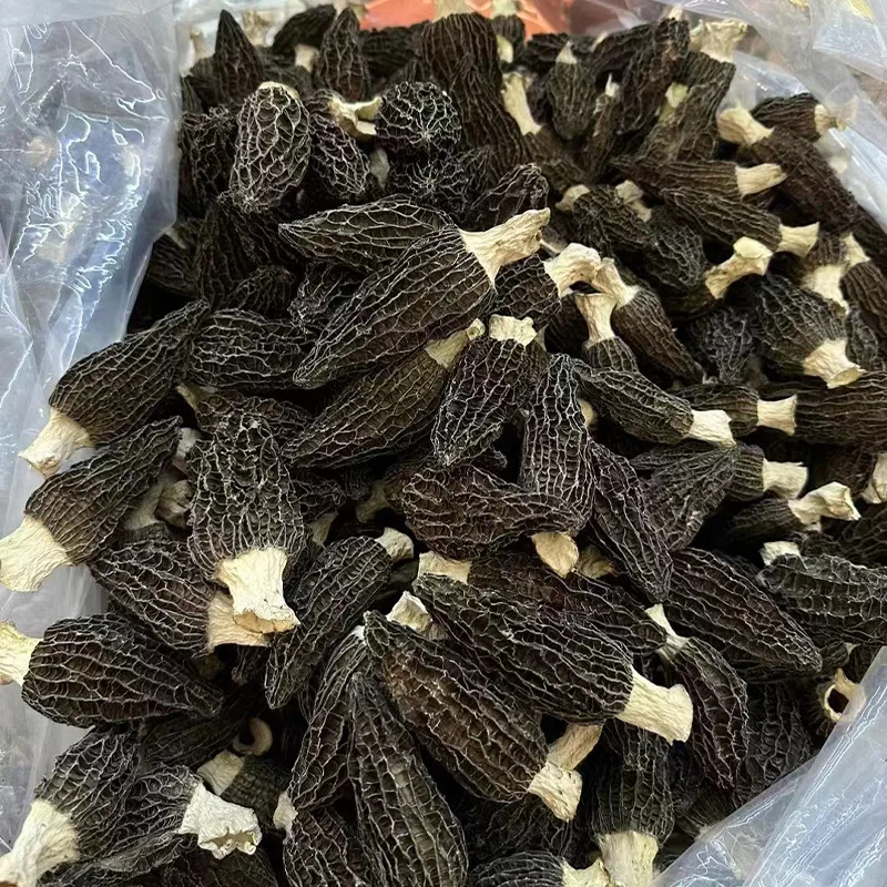 Seasonal New Crop Cutting stems Handle 3-5cm Black Morel mushrooms Yunnan Morchella Mushroom Dried Morel  Morchella Mushroom