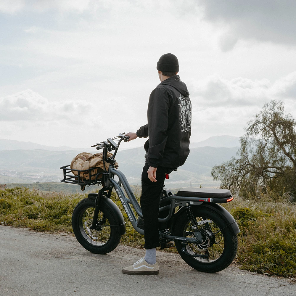 Factory Nice Price Electric Bike With Lithium Batteries/China Hot Sale Electronic Bicycles /Electric Push e Bikes For Sale