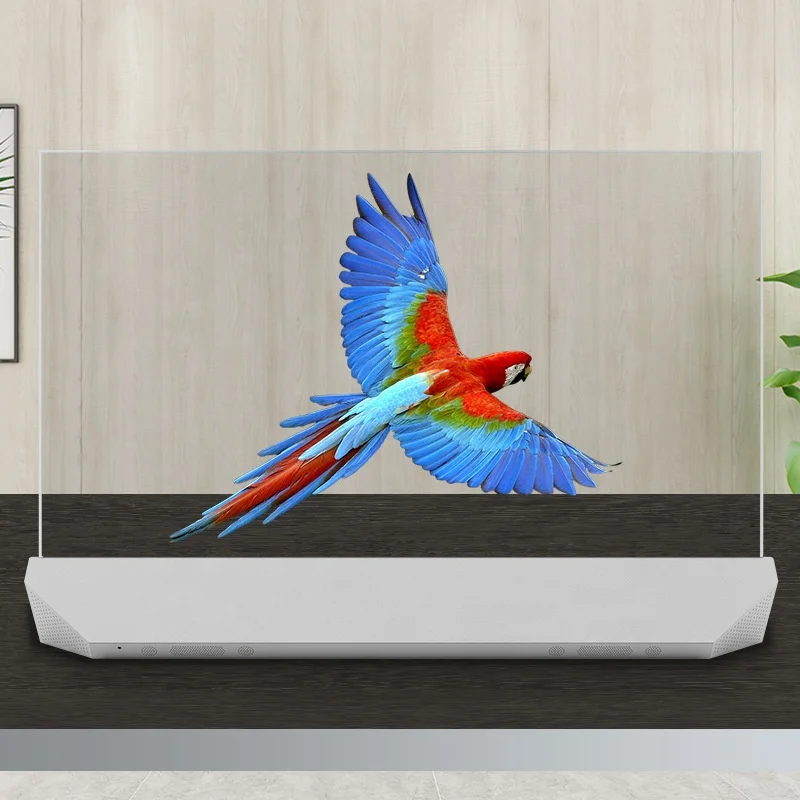 55inch  Display Transparent Digital Signage OLED  Screen 4K HD Interactive Touch Ultra Thin Transparent OLED Display