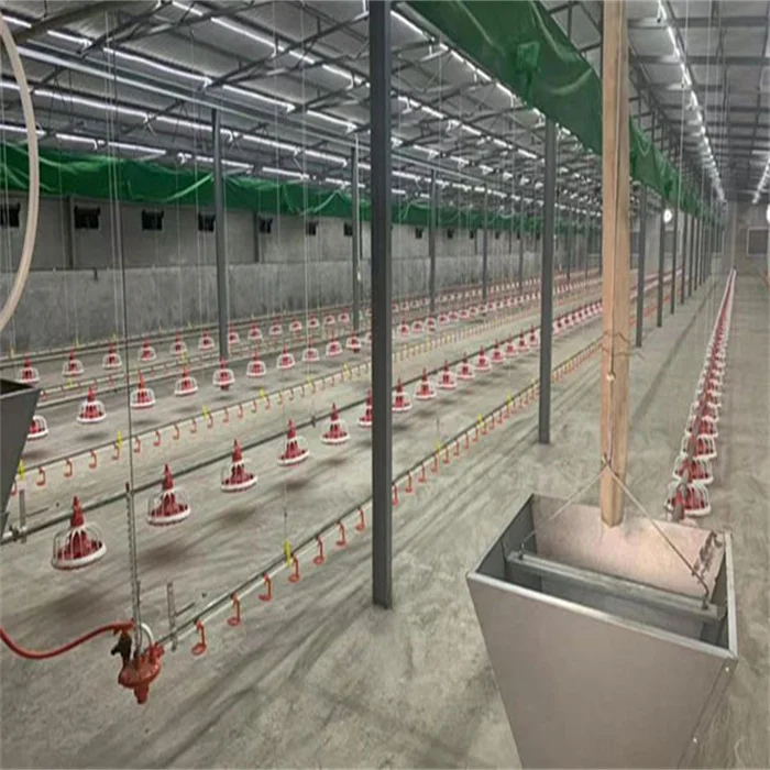Хит продаж домашняя птица жаровня сельскохозяйственное оборудование кормушка для кур автоматическая система кормления жаровни