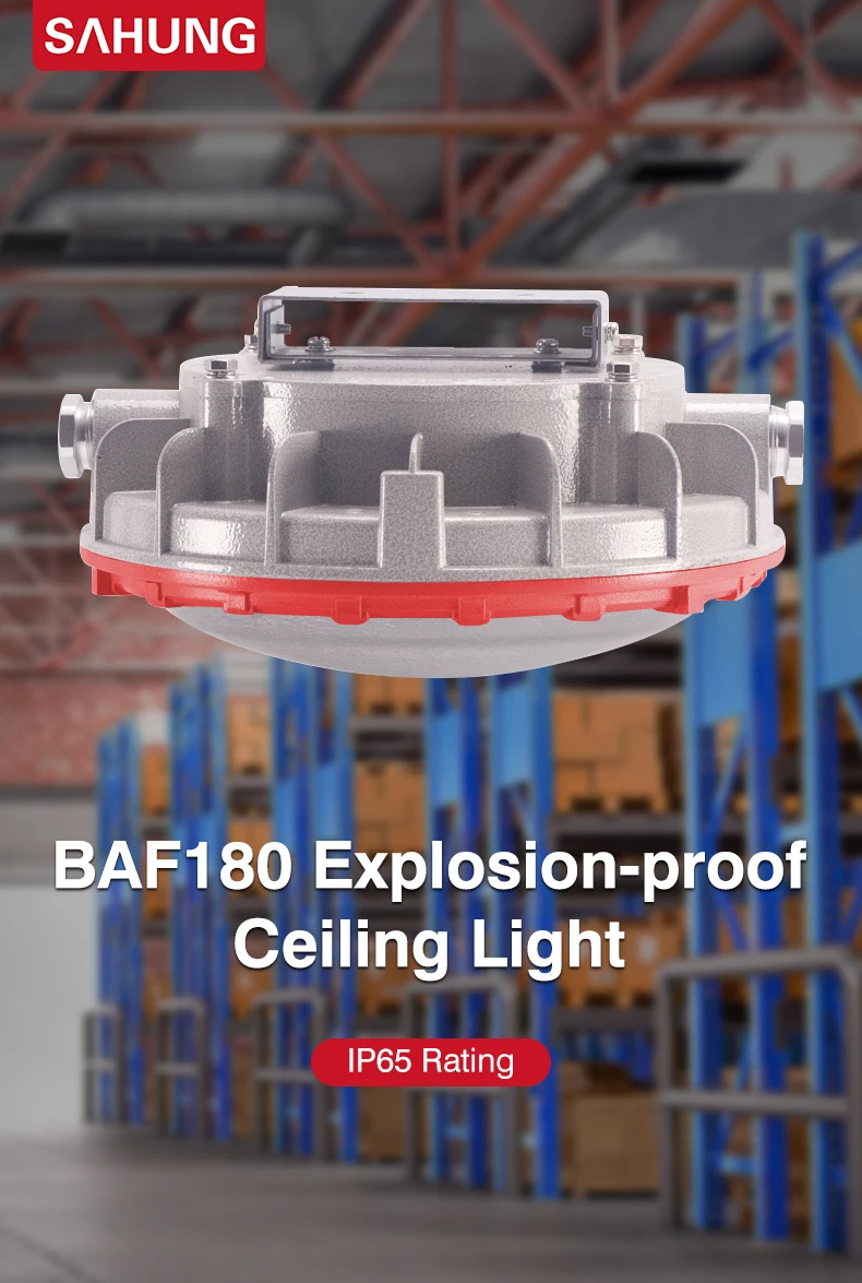 BAF180_01.jpg