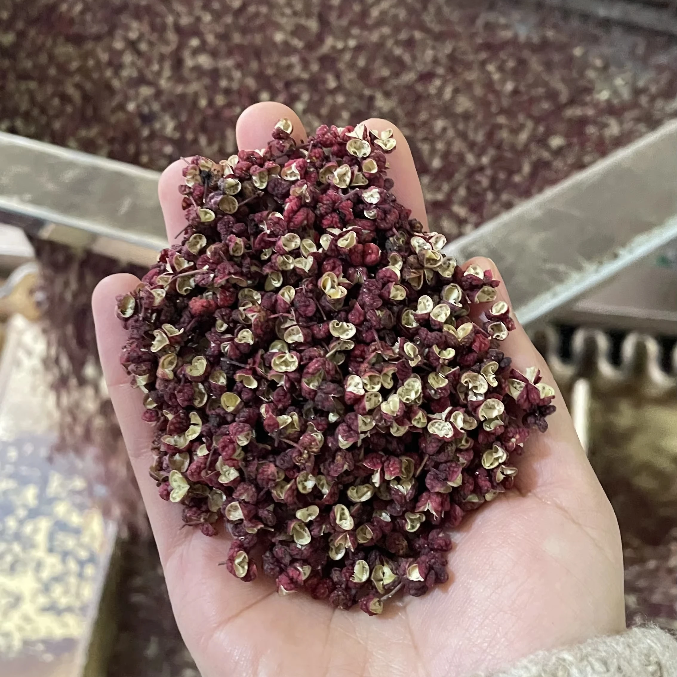 Заводская оптовая продажа натуральный сушеный Китайский Sichuan красный Huajiao перец чили трава с процессом Ad сушки обезболивание специй
