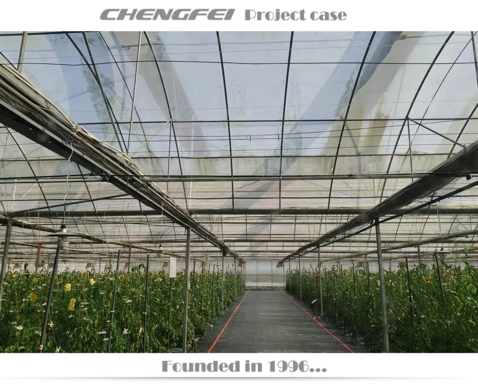 Multi-span serre-agricol plastic film chilli vegetable greenhouse buy agriculture turkey supplier for sale