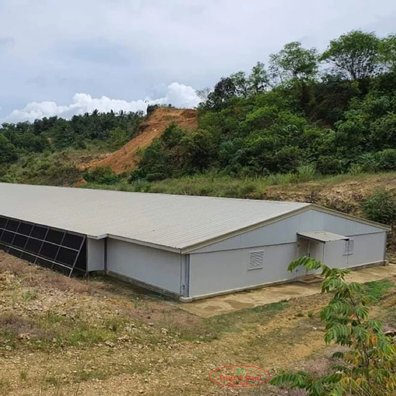 floor management poultry pan feeder for chicken automatic feeding system