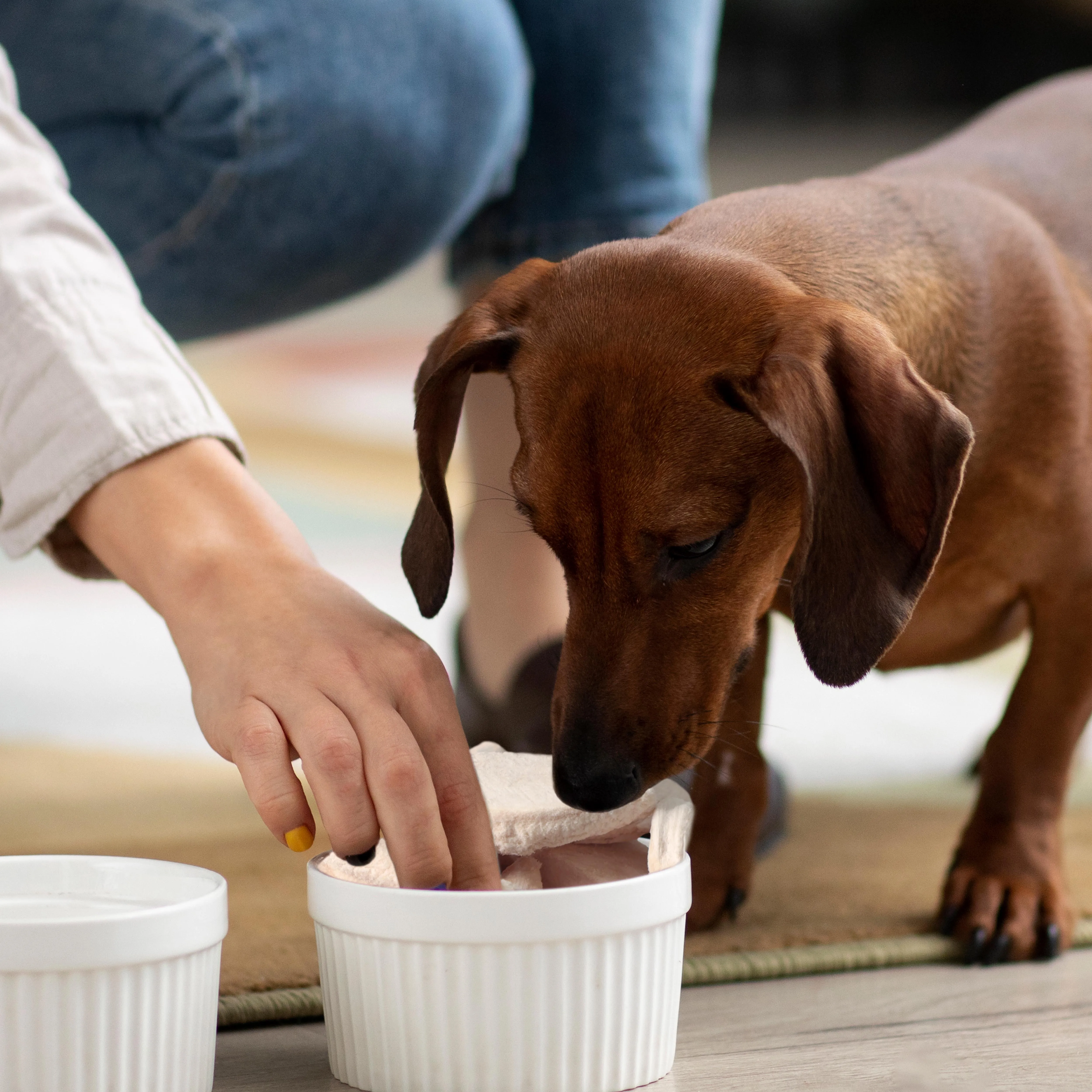 OEM ODM manufacturer freeze dried chicken breast pet training food for natural bulk best dog treat wholesale