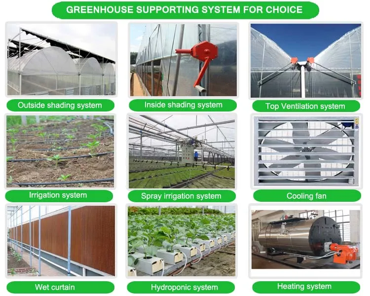 supprot system(multi)