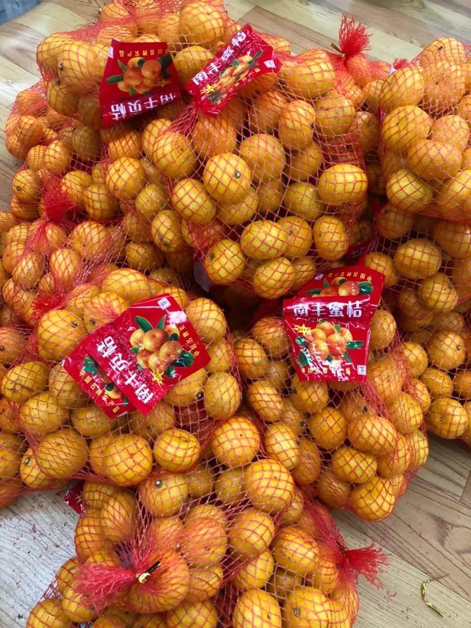 2020 new crop sweet taste fresh baby mandarin