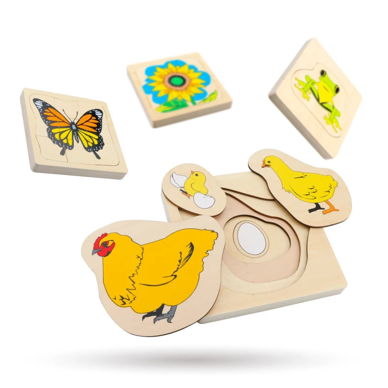 Kids Montessori Wooden Toys 3D Puzzle Life Cycle of Animals Plant Chock Frog Butterfly Sunflower