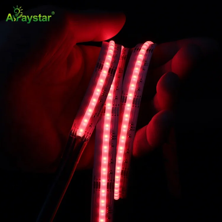 Newly Released SMD FCOB LED Strip Light Slim 10mm High Brightness Dotless 12V 24V COB LED Strip CRI90 320 LEDs 2022